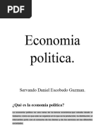 Economia Politica Ensayo