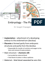 Embryology - The Placenta