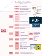 Cuadro Sinóptico Parasimpaticolíticos