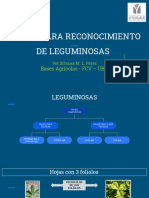 Claves para Reconocimiento de Leguminosas