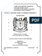 Informe Final