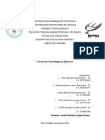 Procesos Psicologicos PG1