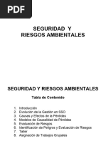 Seguridad y Salud Ambiental