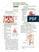 REVIEWER Excretory System