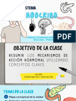 2023 Sistema Endocrino