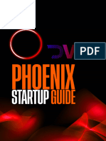 Phoenix Startup Guide