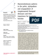 Macroevolutionary Patterns in The Pelvis Stylopodi