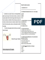 Copias para Cuarto Basico N °6