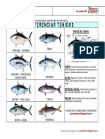 Dossier Fichas Diferenciar Túnidos