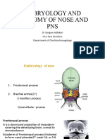 Anatomy of Nose and PNS Final-1