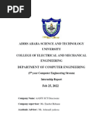 Final Internship Report Asnaku Yinebeb PDF