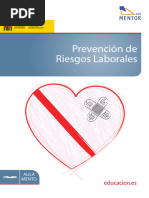 Prevencion Riesgos Laborales