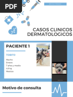 Casos Clinicos Dermatologicos