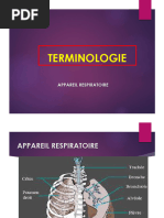 Terminologie Appareil Respiratoire