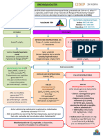 GIDEP Bronquiolitis V2 2015.10.20