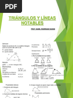 Tema 2 Triángulos y Líneas Notables Bravo - Alfa