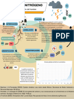 Ciclo Del Nitrógeno y La Alteración Del Hombre