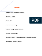 Neurotransmisores y Circulacion Sanguinea