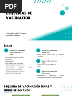 Esquemas de Vacunación