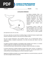 Comprensión Lectora Las Ballenas Jorobadas