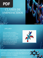 Clases de Aminoacidos