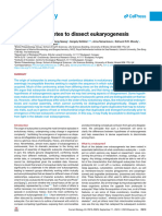 Defining Eukaryotes To Dissect Eukaryogenesis