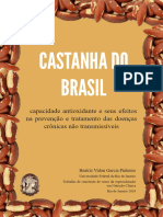 E-Book Castanha Do Brasil Versão Beatriz Vidon