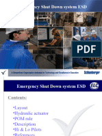 13 - ESD System