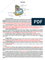 Citologia Revisado Pontos Importantes Aula de Biologia