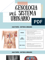 Sema 15 Imagenologia Sist. Urinario