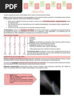 Generalidades de Ortopedia