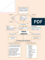 Mapa Conceptual Del Medio Ambiente