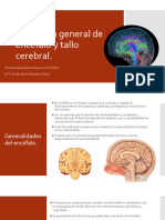 Encefalo y Tallo Cerebral Generalidades