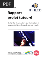 Rapport Réseau Mesh