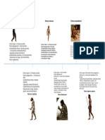 Homo Neanderthelensis Homo Erectus Homo Neandertal