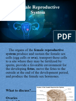 Female Reproductive System