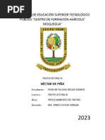 PDF Documento