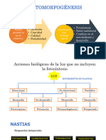 3.2 El Ambiente y Las Plantas - Fiogral