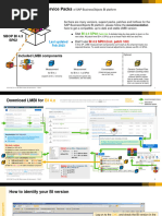 Getting The Right LMBI Version