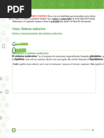 Guía Sistema Endocrino ColombiaAprende