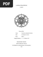 Laporan CAD II - Vincentius Alexander C - CRM 2 - 19718