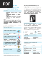 Facilitacion Neuromuscular Propioceptiva