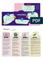 O Que e Citologia? - E o Estudo Das Celulas