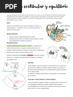 Sistema Vestibular y Equilibrio