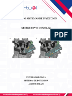 Gonzalez George - IMA - 3A - SISTEMA DE INYECCION