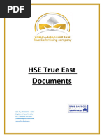 True East Mining Company - HSE