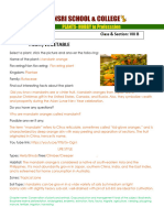 Fruit Application Sheet - Mandarin Orange