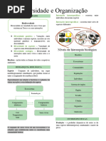 Resumos Biologia 10º Ano