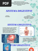 Dispositivas Del Sistema Digestivo Universitario