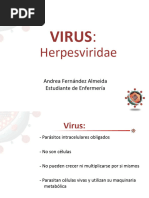 Virus Que Causan Herpes